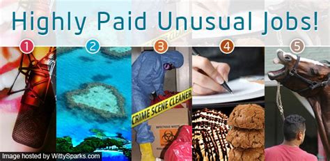 rarest jobs in the world|Top 10 Rarest and Most Unusual Jobs in the World .